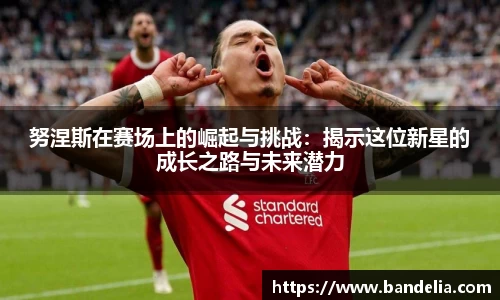 努涅斯在赛场上的崛起与挑战：揭示这位新星的成长之路与未来潜力